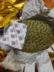 -咘隆家族儿童乐园(凯旋广场店)