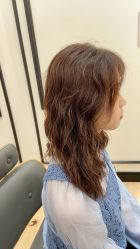 -YESIDO椰岛造型