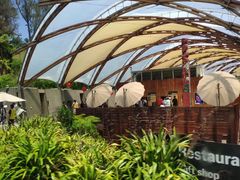 -怀托摩萤火虫洞