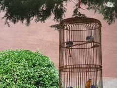 -永和大王(春日上新·白广店)