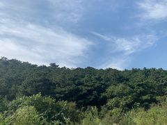 -青龙山风景区