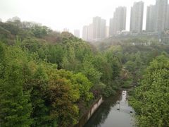 -重庆彩云湖湿地公园