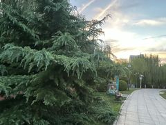 -南翠屏公园