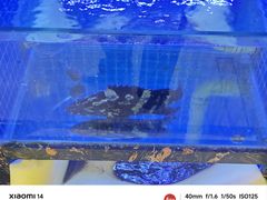 -鑫鸿达·海鲜闽菜热炒小馆(中山路店)