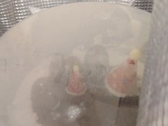 -元祖食品GANSO(星沙店)