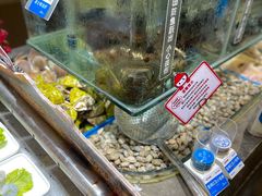 -双合园·海鲜水饺青岛菜(品牌首店)