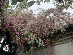 -深圳国际园林花卉博览园