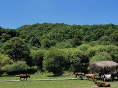 -大水川景区