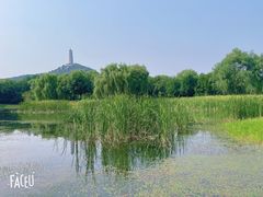 -北坞公园