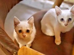 -驿舍·民國老营房院子私房菜(科学会堂店)