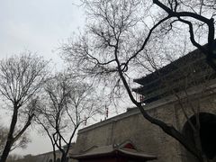 -西安城墙·碑林历史文化景区