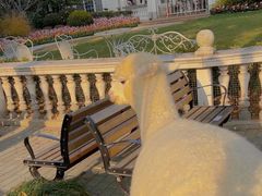 -金庭庄园酒店-停车场