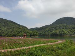 -广州市石门国家森林公园