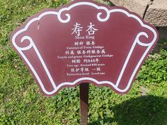 -苏州文庙(姑苏区)