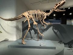 -自贡恐龙博物馆