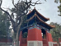 -北京国子监胡同