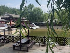 -尚庄度假村·庭台树下·户外烧烤·团建CS·轰趴营地(上庄水库店)