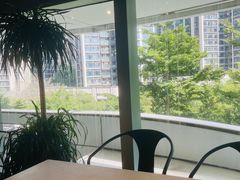 -百年果林椰子鸡(中洲店)