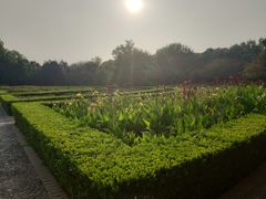 -洛阳市隋唐城遗址植物园