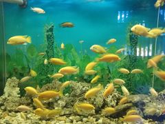 -泉州海丝野生动物世界