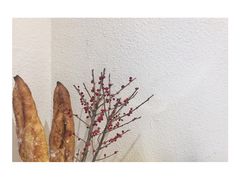 -不正咖啡(万达尊店)