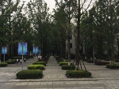 -百林公园-两江幸福广场