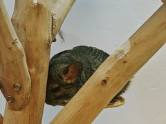 -宁波九龙湖开元度假村