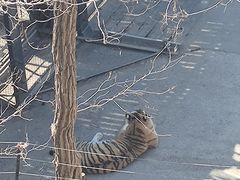 -大连森林动物园