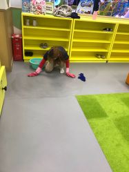 -莫莉幻想儿童乐园(郑州丹尼斯三天地店)