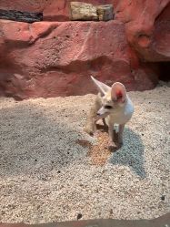 -Zoolung Zoolung动物主题公园(海信广场店)