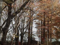 -比叡山