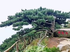 -罗田薄刀峰风景区