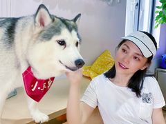 -Husky Go! 哈士奇体验馆·宠物咖啡厅狗咖