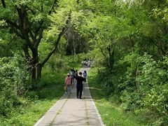 -青龙山国家森林公园