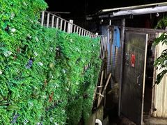 -洞背山庄(洞背院区式管理小区店)