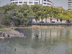-放鹰台遗址