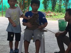 -北京稻香村(第三店)