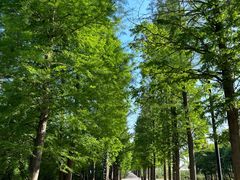-广富林郊野公园