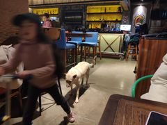 大堂-Cactus墨西哥仙人掌餐厅