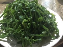-岩保农家乐