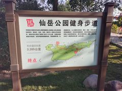 -仙岳公园
