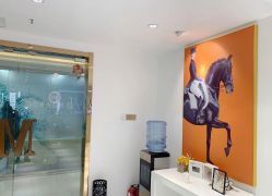 -MIVI野生眉纹绣纹眉