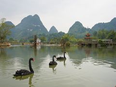 -靖西鹅泉风景区