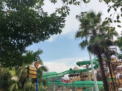 -重庆海昌加勒比海水世界
