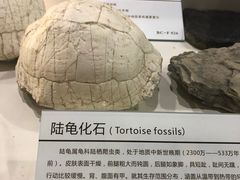 -中国第四纪冰川遗迹陈列馆