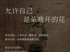 -曼朗心理咨询·旗舰店