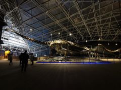 -世界恐龙谷景区