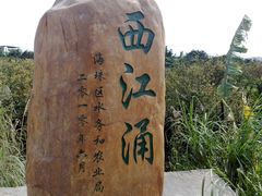 -小洲村