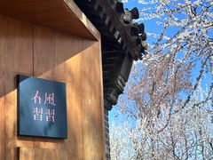 -春风习习
