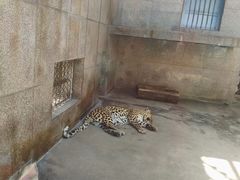 -西安秦岭野生动物园